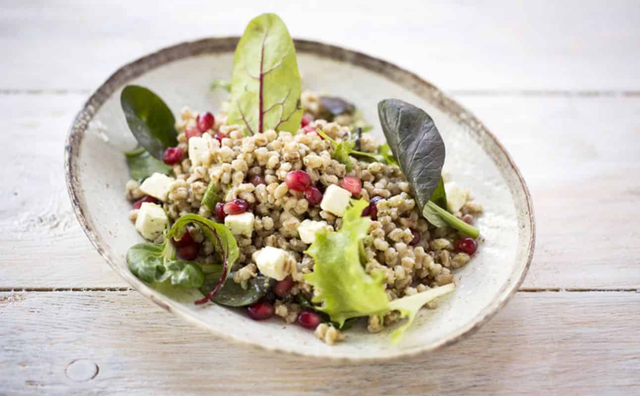 Enjoy Vegetarian cuisine at Cocotte Shoreditch in Hoxton, London