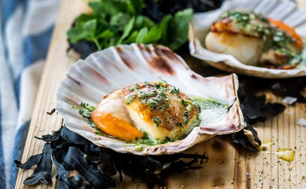 Enjoy Seafood cuisine at The Scallop Shell in Bath