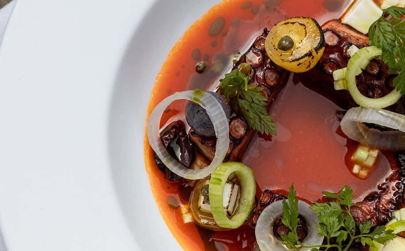 Sartoria Launceston Place