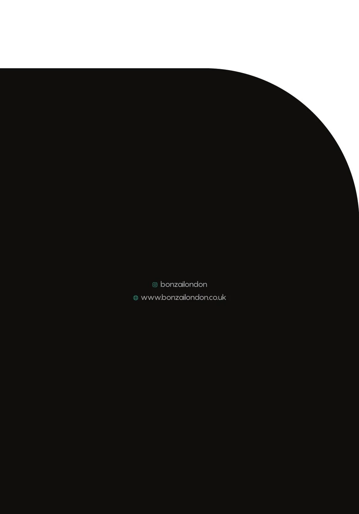 Bonzai London menu, page 21