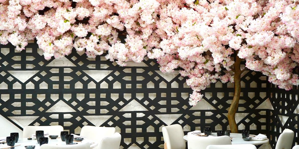 Meet First Table's Newest Ambassador: The Munch Brunch Kids