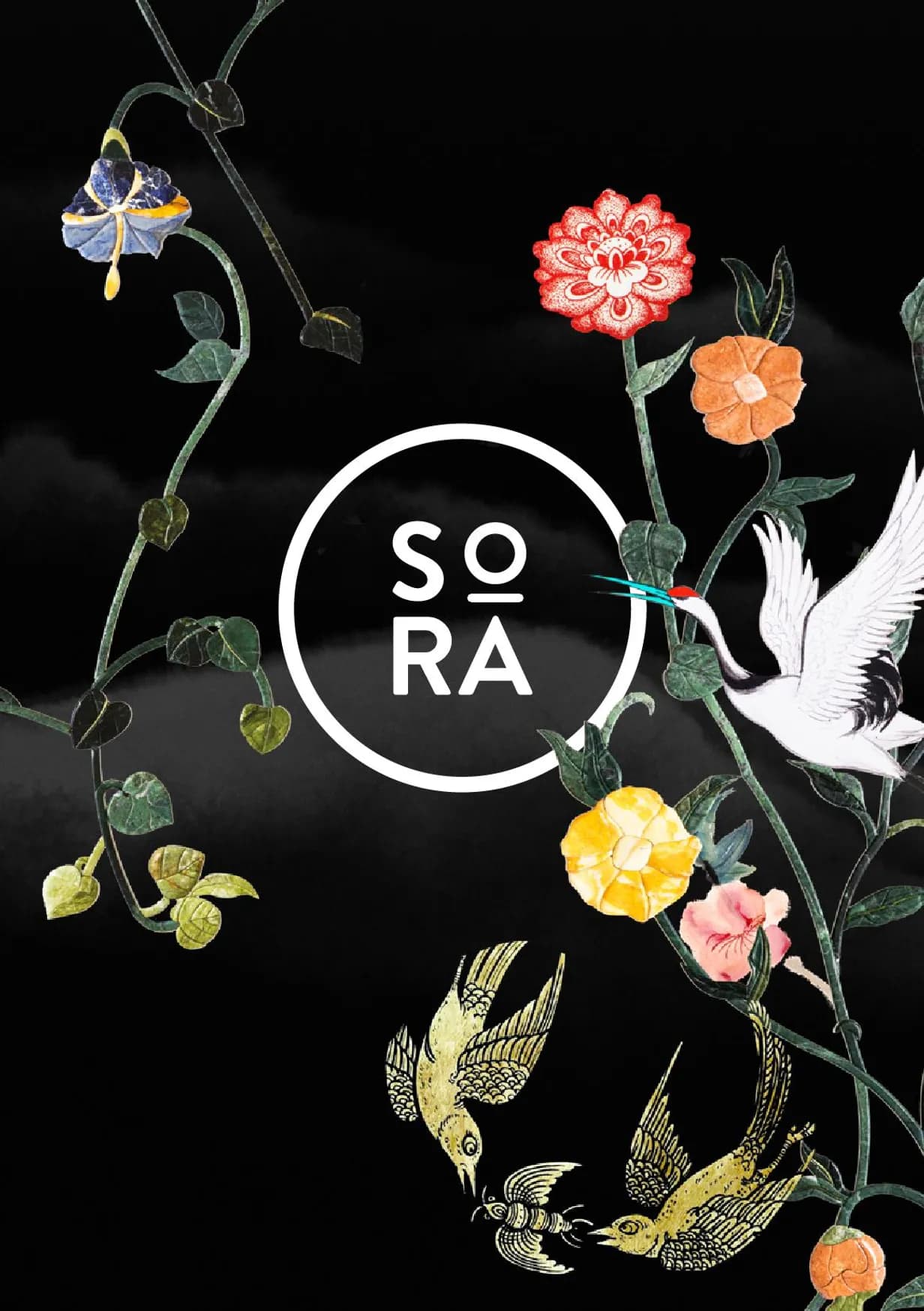 Sora menu, page 2