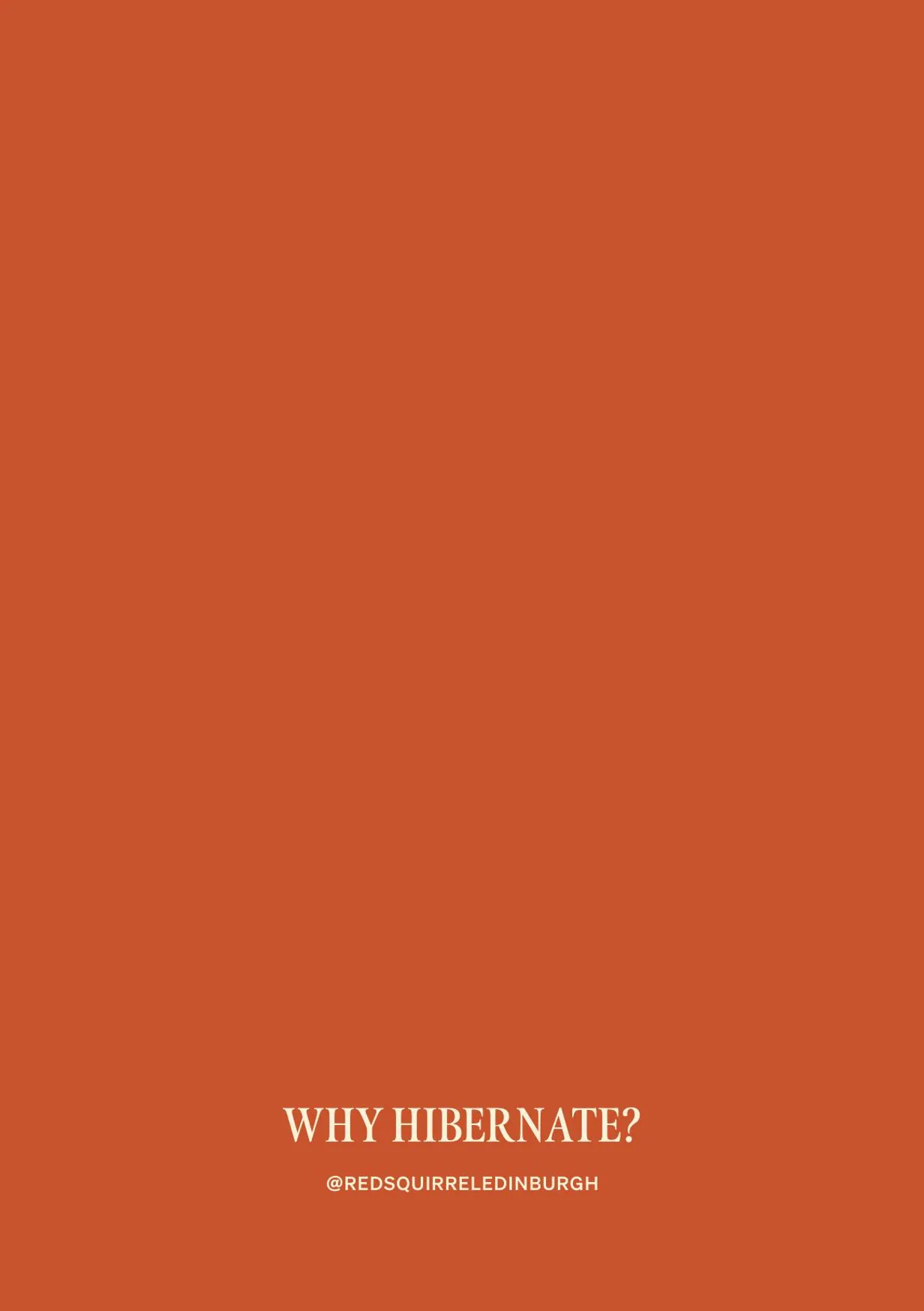 Red Squirrel menu, page 11
