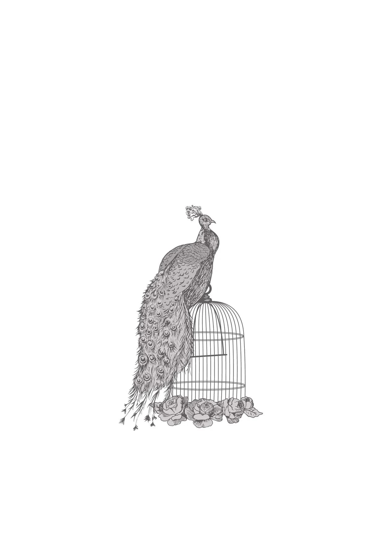 Aviary menu, page 15