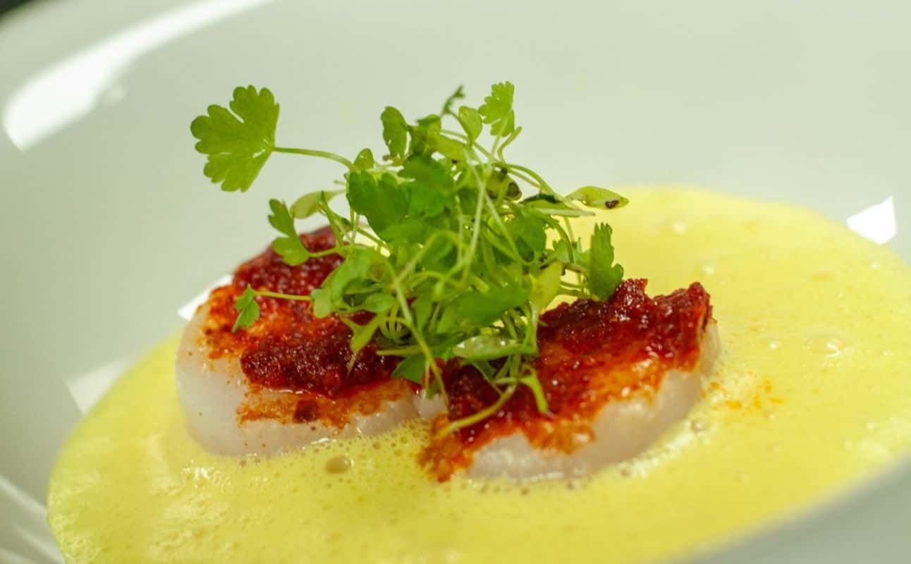 Enjoy Indian, Asian, Vegetarian options, Vegan options, Gluten Free options, Restaurant, Free wifi, Free onsite parking, Table service, $, Families, Local cuisine and Groups cuisine at Purple Poppadom in Pontcanna, Cardiff