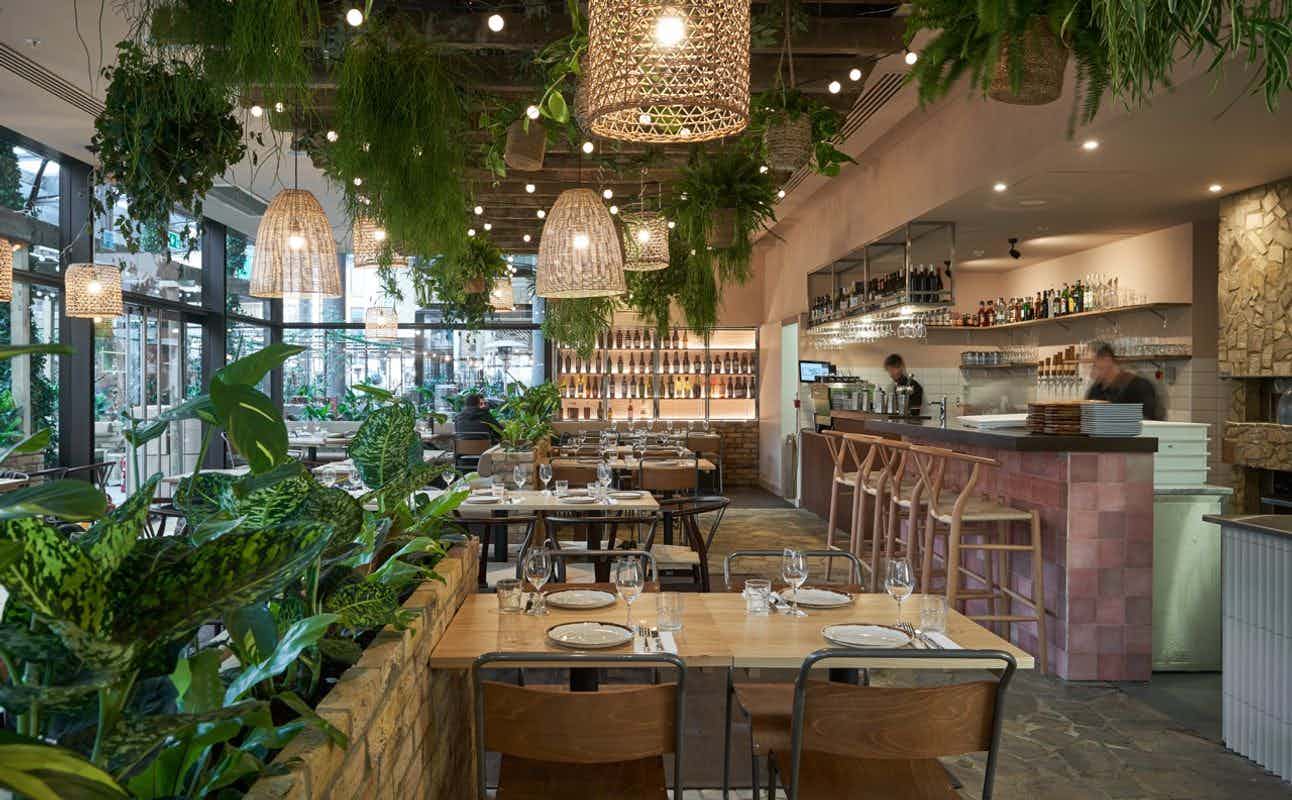 Enjoy Mediterranean, Brunch and Small Plates cuisine at Brother Marcus - Spitalfields in Spitalfields, London