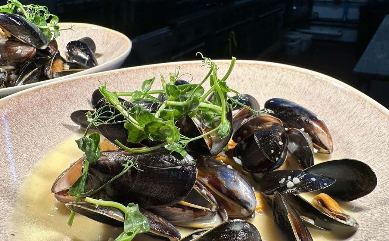 Enjoy British, Vegetarian options, Vegan options, Gluten Free options, Gastropub, Free wifi, Highchairs available, Indoor & outdoor seating, Free onsite parking, Table service, Wheelchair accessible, $, Groups and Hidden gems cuisine at The Botany Bay Inne in Wimborne, Bournemouth
