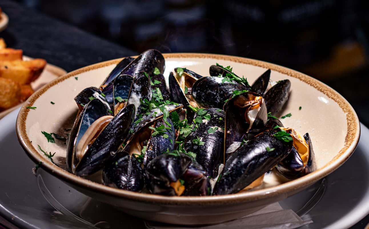 Enjoy Seafood, Steakhouse and Wine bar cuisine at Palomar Restaurant & Bar in Gloucester Road, Bristol