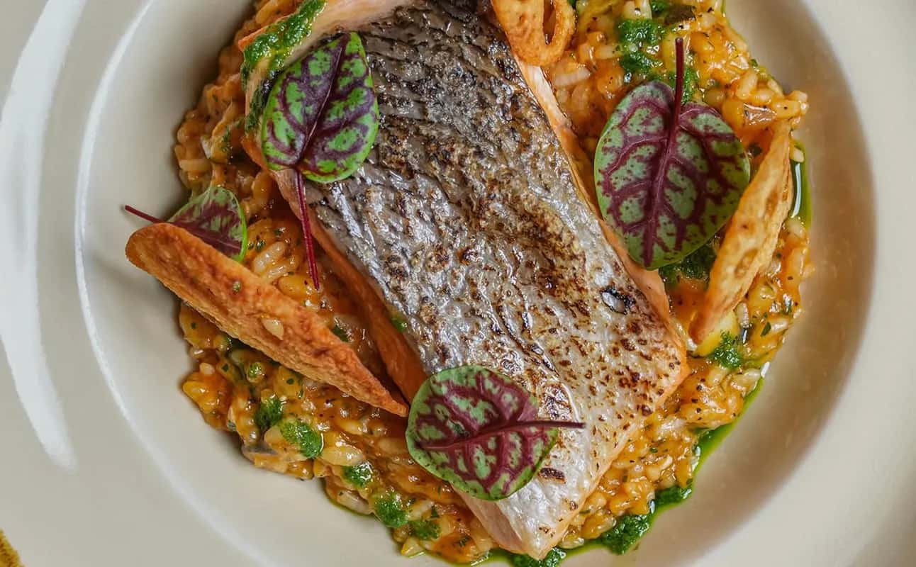 Enjoy British, European, Cafe, Gluten Free options, Vegetarian options, Vegan options, Cafe, Restaurant, Free wifi, Wheelchair accessible, Table service, Street parking, Indoor & outdoor seating, $$$, Live music, Groups and Families cuisine at The Wet Fish Cafe Primrose Hill in Primrose Hill, London