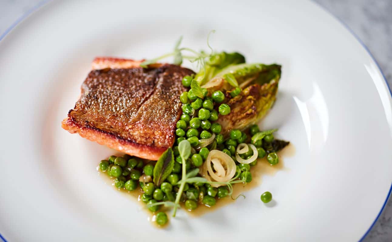 Enjoy Cafe, Italian, Gluten Free options, Restaurant, Indoor & outdoor seating, Free wifi, Table service, Dog friendly, $$, Groups and Families cuisine at Chucs Cafe Kensington in Kensington, London