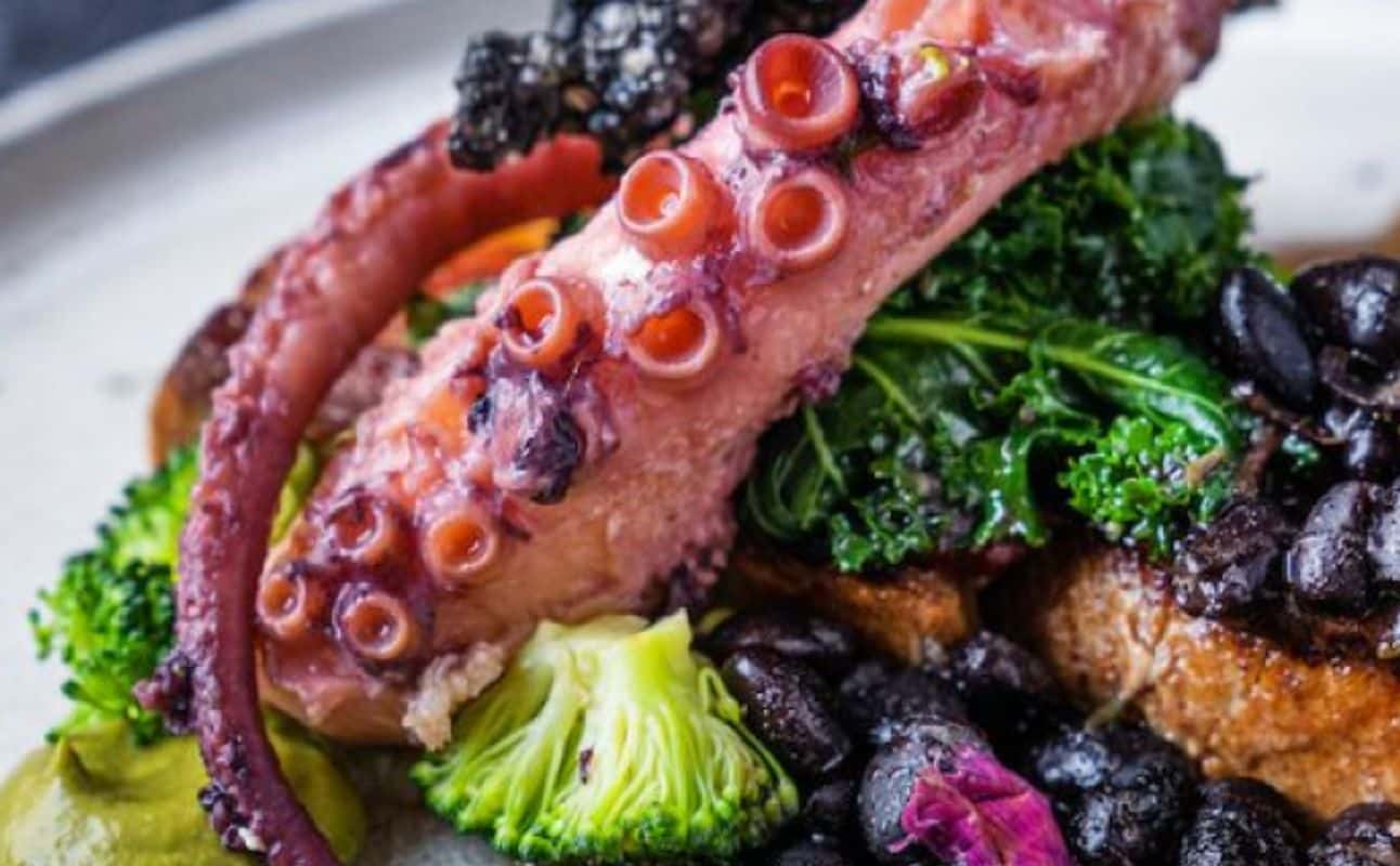 Enjoy British, European, Restaurant, Free wifi, Table service, Highchairs available, Dog friendly, Date night, Families, Hidden gems, Special occasion, Groups and Local cuisine cuisine at The Square Club in Clifton, Bristol