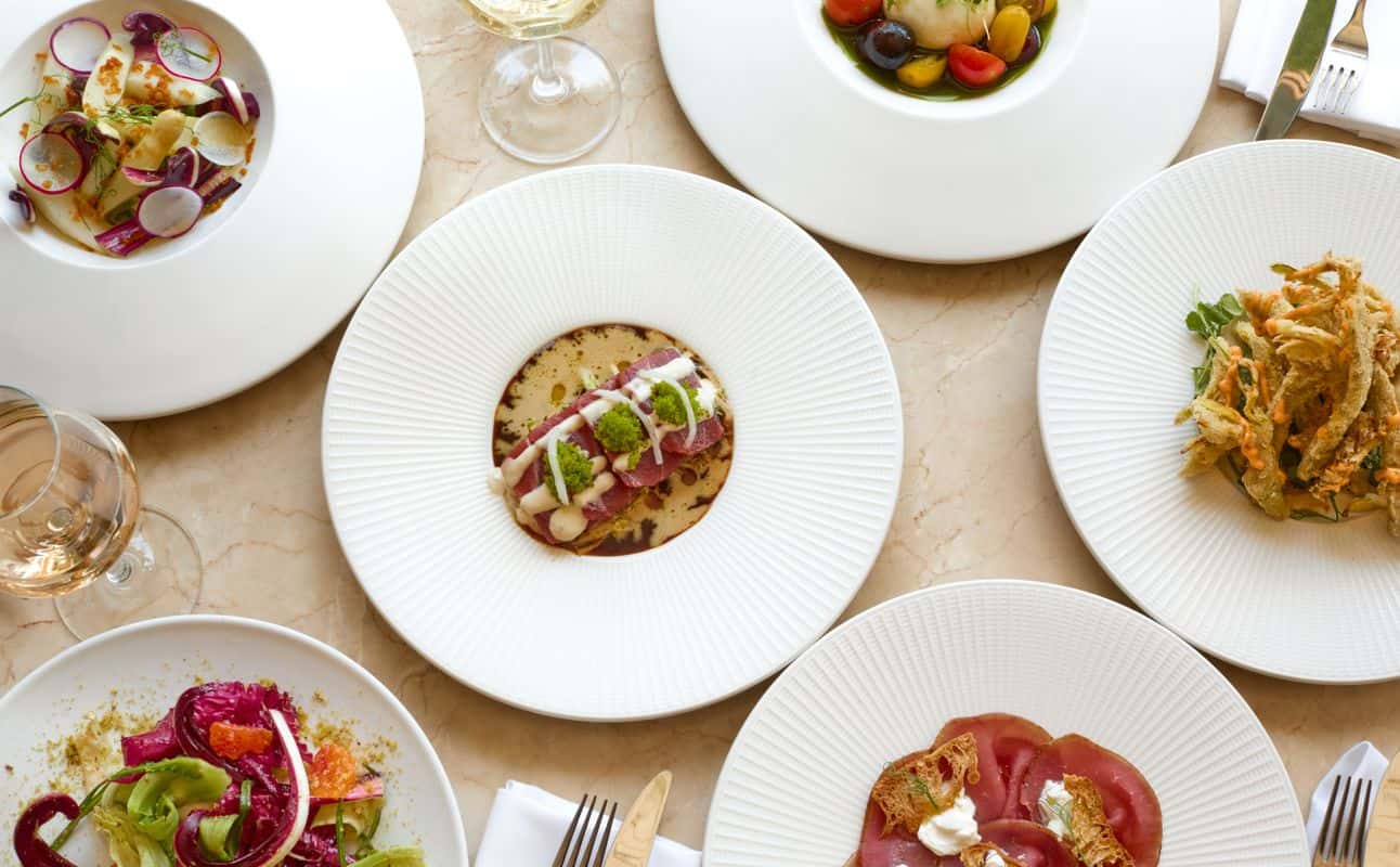 Enjoy Italian, Vegetarian options, Vegan options, Restaurant, Free wifi, Highchairs available, Non-smoking, Indoor & outdoor seating, Street parking, Table service, Child friendly, Dog friendly, $$, Families, Groups and Special occasion cuisine at Terra Moderna in Belsize, London